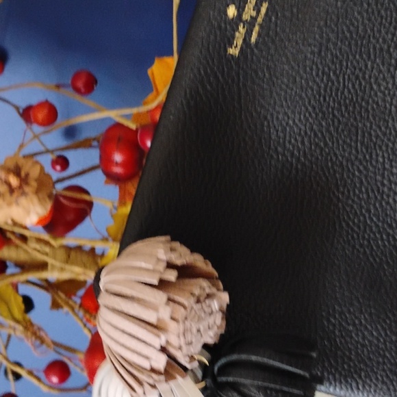 Kate SPADE Palmer Shala Tassel Large Pouch/Clutch - Picture 2 of 5